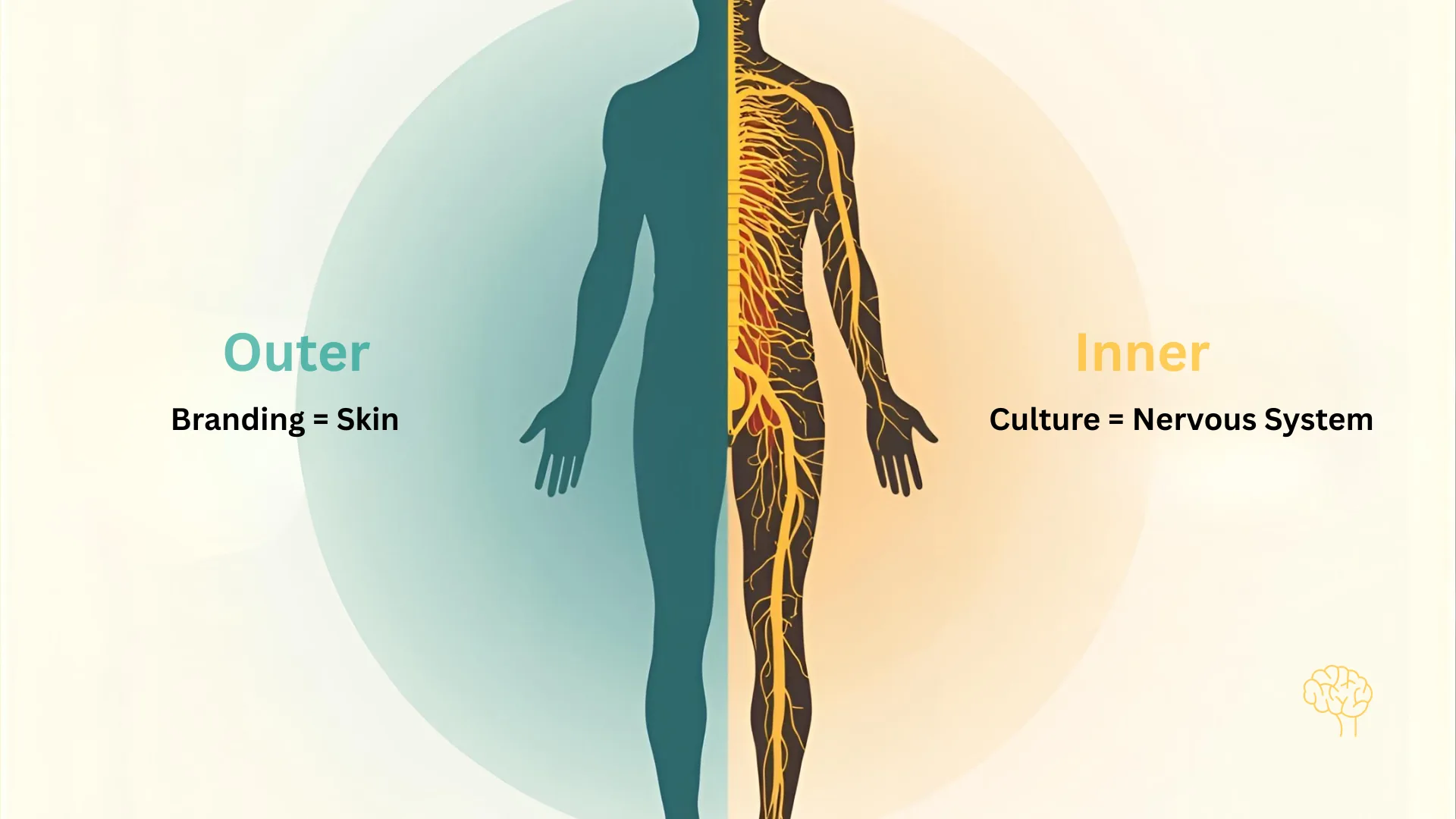 Branding vs culture, neurobranding infographic